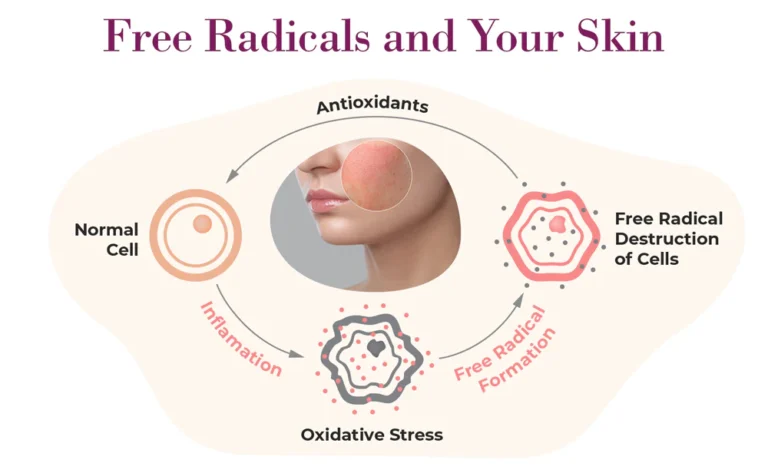 How Antioxidants Protect Your Body from Free Radicals