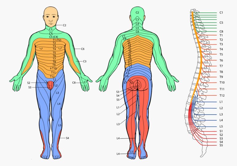 What Is Nerve Pain and How Does It Affect the Body?