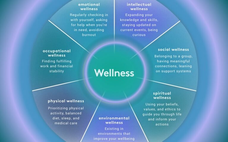 What are the 4 types of wellness?