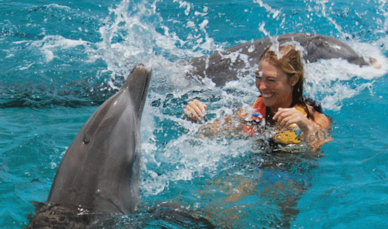 Swim with Dolphins