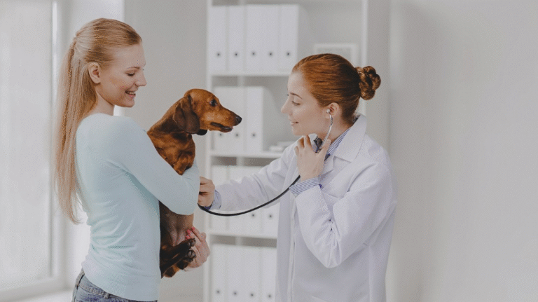 Understanding Routine Vaccinations And Exams For Pets